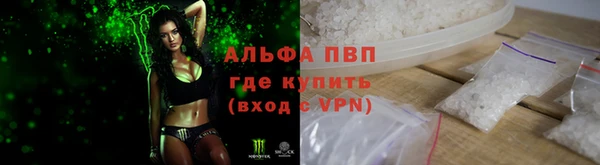 СК Балахна