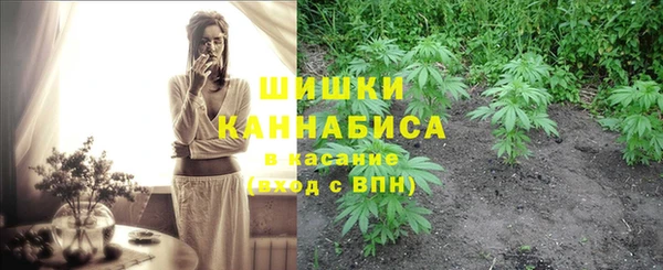 СК Балахна